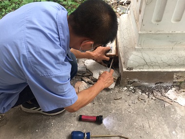 官窑防治白蚁公司怎样杀白蚁才能杀干净