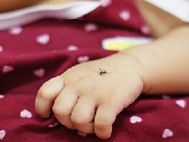 番禺杀虫灭鼠所怎么开展春秋的幼儿园控虫工作