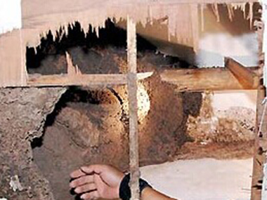 广州白蚁防治公司家中的木制家具有白蚁如何防治