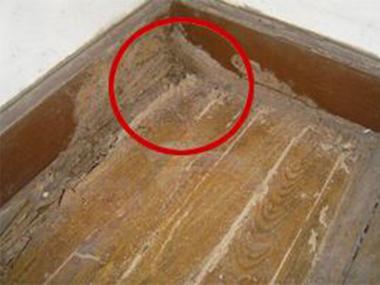 番禺灭治白蚁中心木地板白蚁防治方法引见