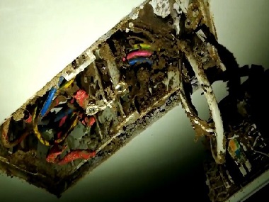 荔湾预防白蚁公司发现白蚁进了电箱应该怎么办