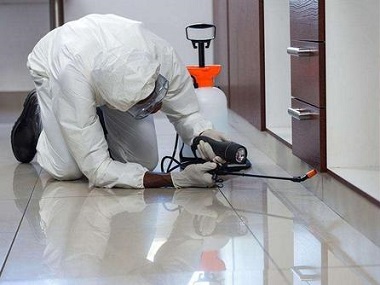 番禺防控有害生物所住宅区域怎么预防蛇类“入侵”