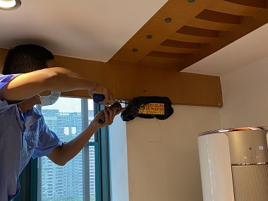 花都白蚁灭治所怎么处理天花板上的白蚁