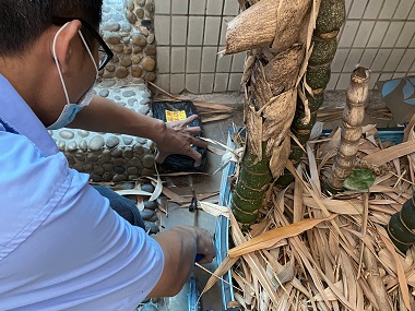 萝岗白蚁灭治中心家里发现白蚁的防治操作方法