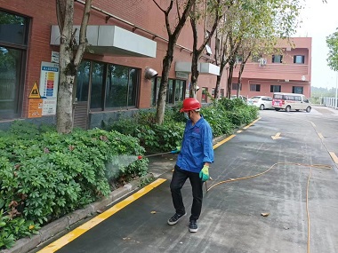 海珠有害生物防控所：绿化带防蚊灭蚊的多种方法