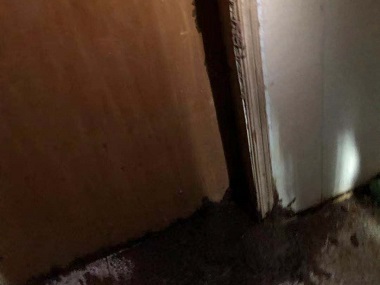 增城白蚁防治中心白蚁除了吃木头还吃什么？