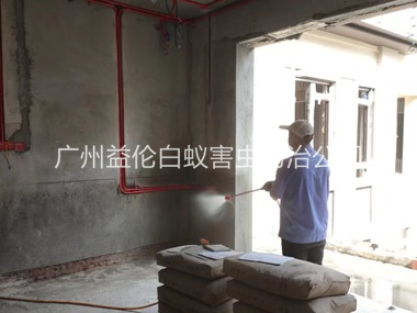 荔湾装修预防白蚁工程