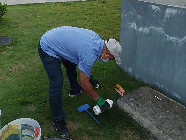 萝岗灭治红火蚁机构红火蚁对水利工程的危害