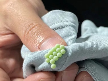 番禺杀虫灭鼠公司臭虫的危害防治措施