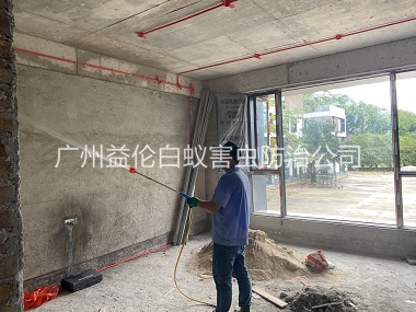 番禺装修白蚁预防工程