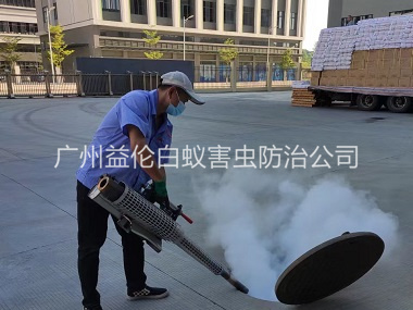 增城除虫灭鼠工程