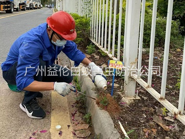 南沙红火蚁防治工程