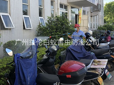 番禺厂区杀虫灭蚊工程