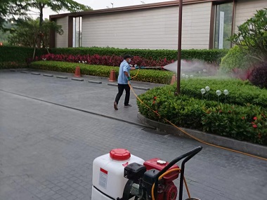 黄埔控制病媒生物公司室外环境消杀蚊蝇虫害的对策