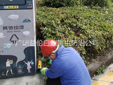 天河区施药灭鼠工程