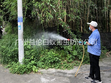 黄埔有害生物消杀工程
