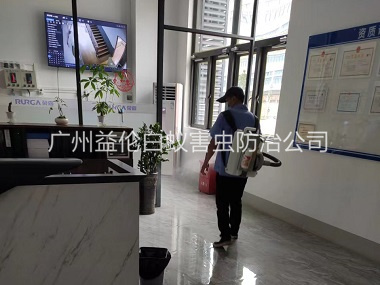 从化室内杀灭蚊蝇工程