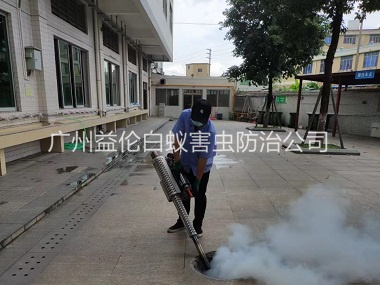 越秀下水道治蚊虫工程